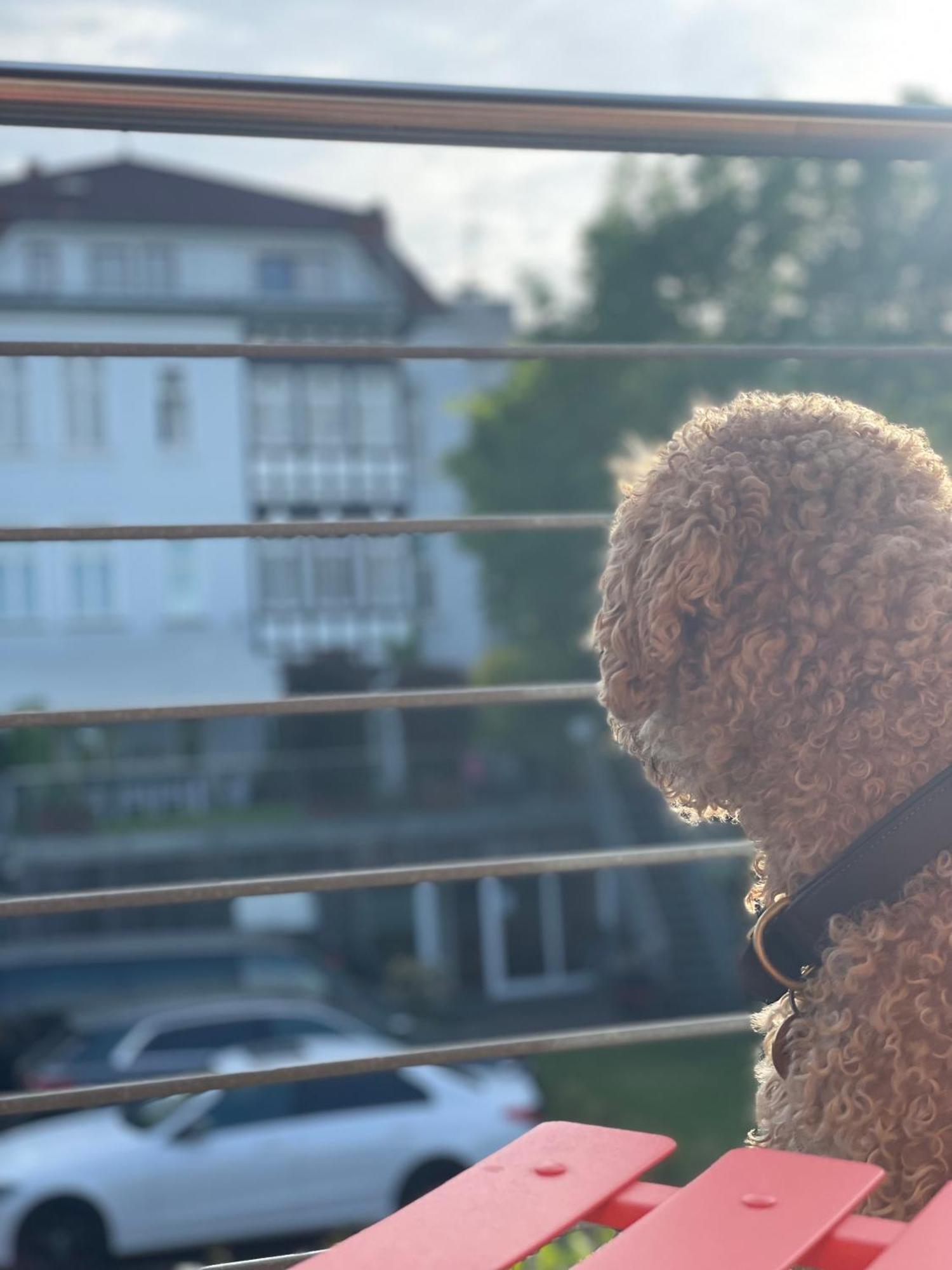 Sonniges Hinterhaus Og Innenstadt Osnabruck Bagian luar foto