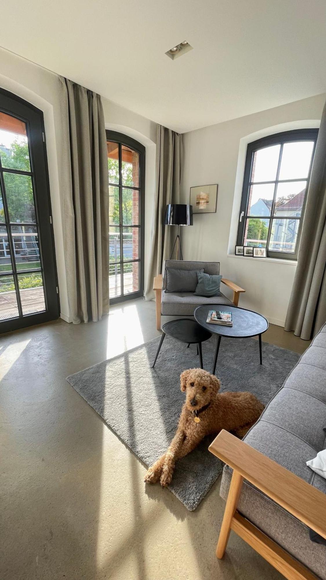 Sonniges Hinterhaus Og Innenstadt Osnabruck Bagian luar foto